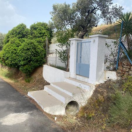 Вилла Olive Hill Private House Порос Экстерьер фото