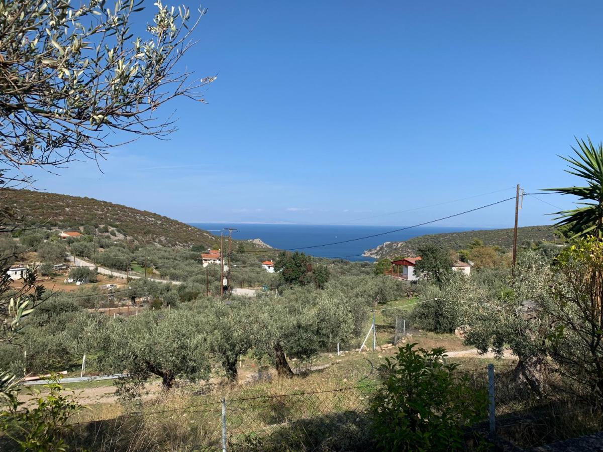 Вилла Olive Hill Private House Порос Экстерьер фото