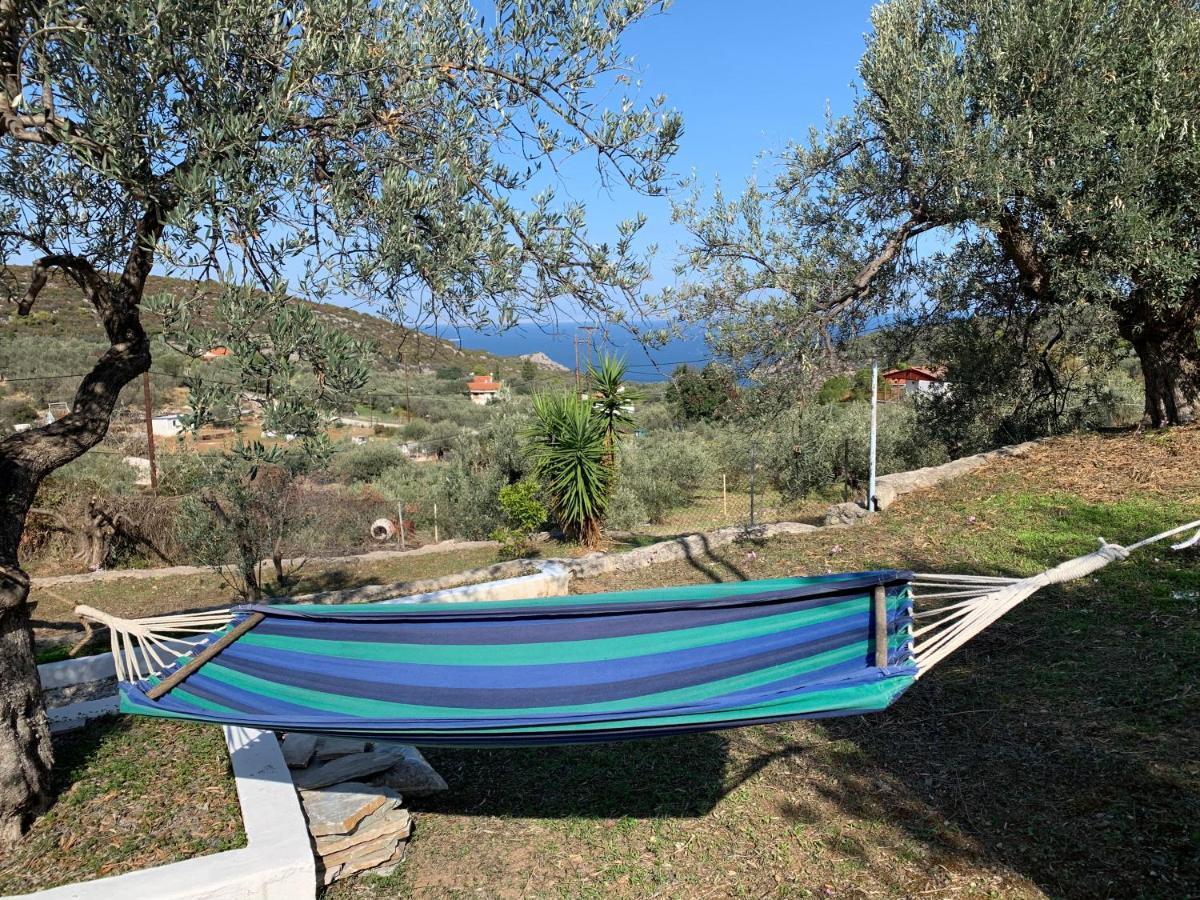 Вилла Olive Hill Private House Порос Экстерьер фото