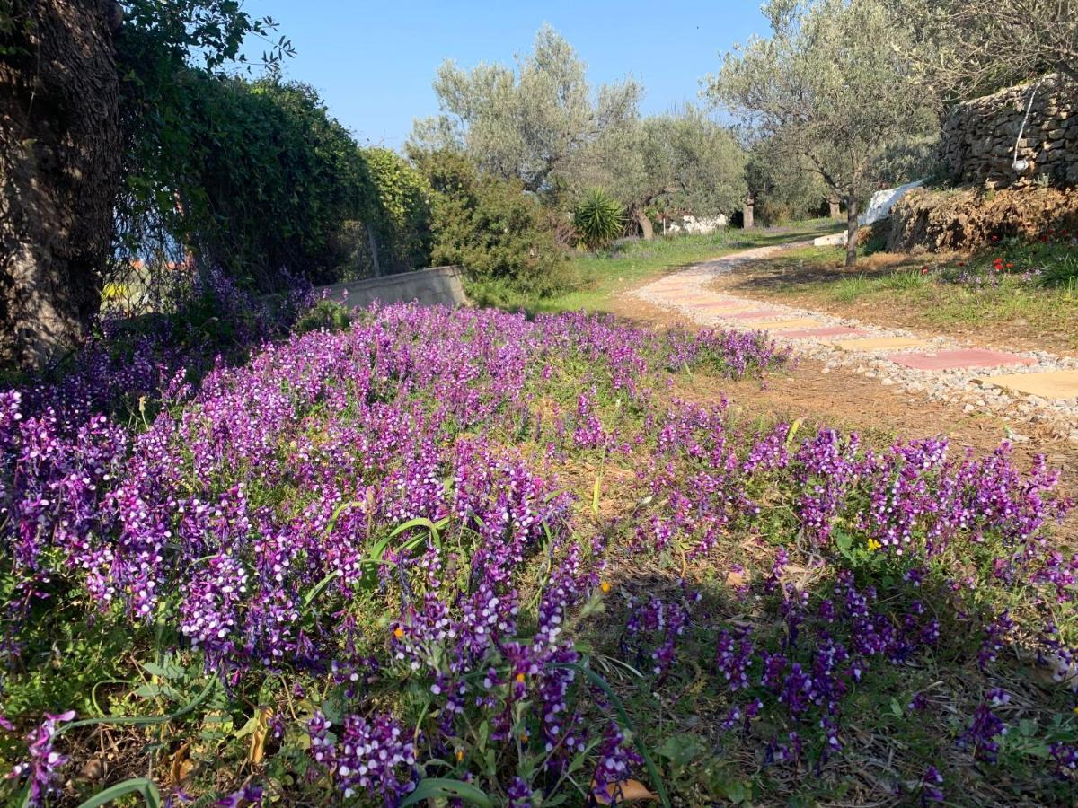Вилла Olive Hill Private House Порос Экстерьер фото