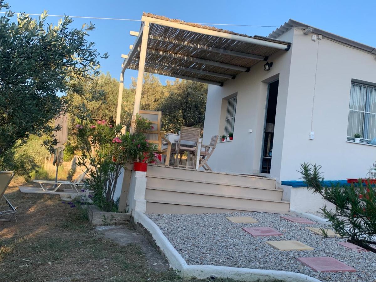 Вилла Olive Hill Private House Порос Экстерьер фото