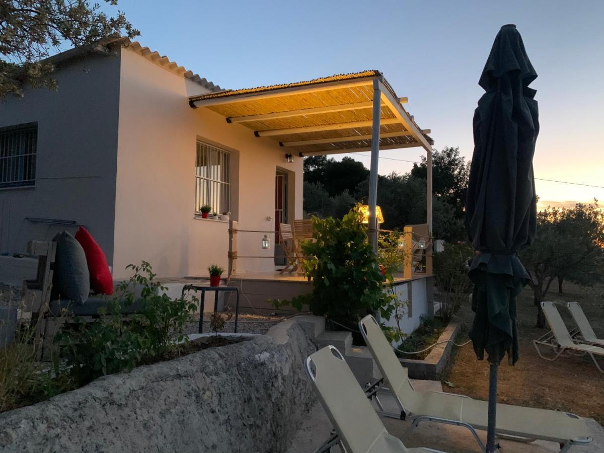 Вилла Olive Hill Private House Порос Экстерьер фото