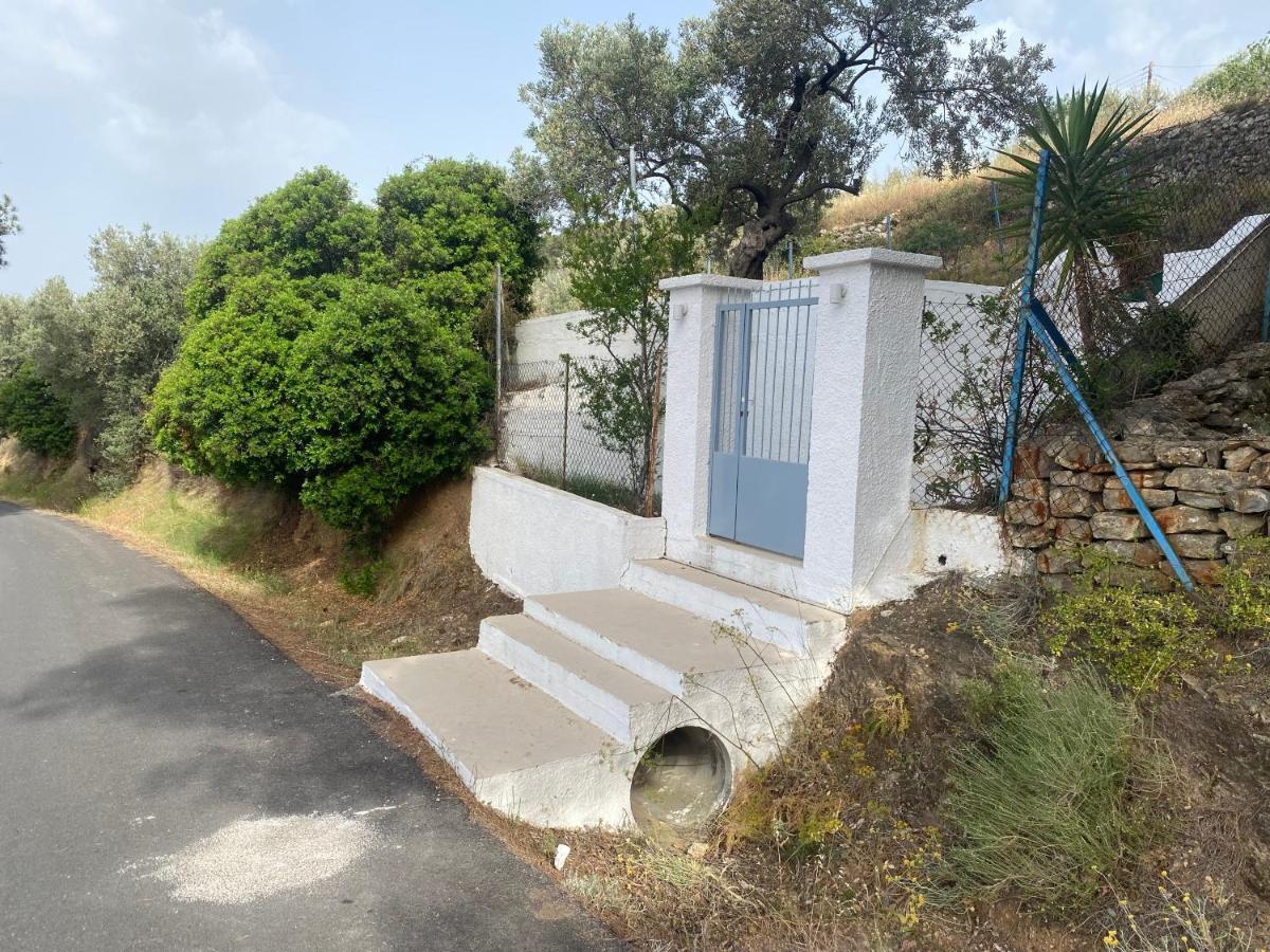 Вилла Olive Hill Private House Порос Экстерьер фото